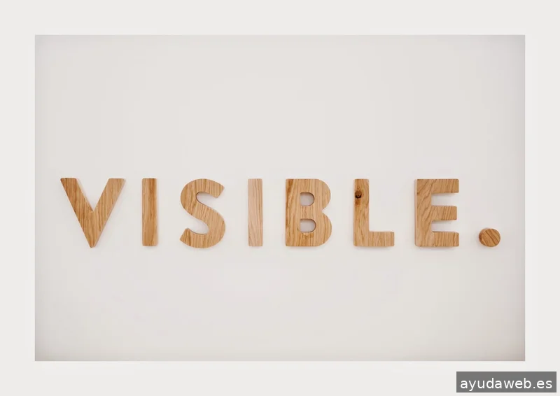 VISIBLE.