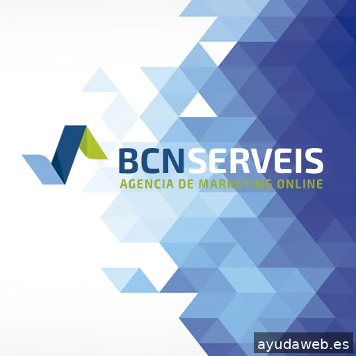Bcnserveis Diseño Web Barcelona