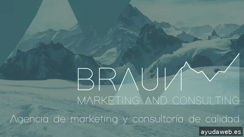 Braun Marketing & Consulting
