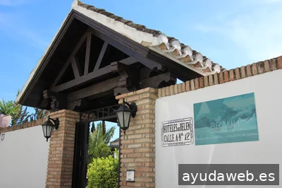 Braun Marketing & Consulting