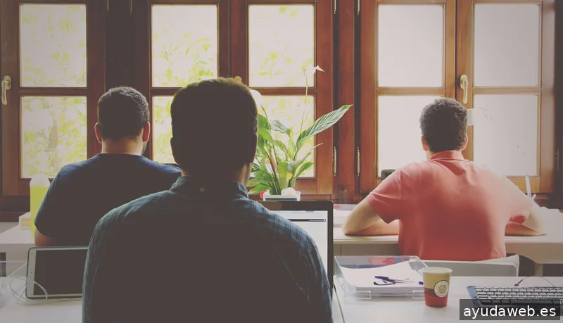 Braun Marketing & Consulting