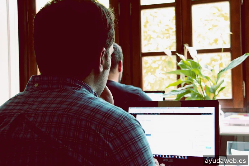 Braun Marketing & Consulting