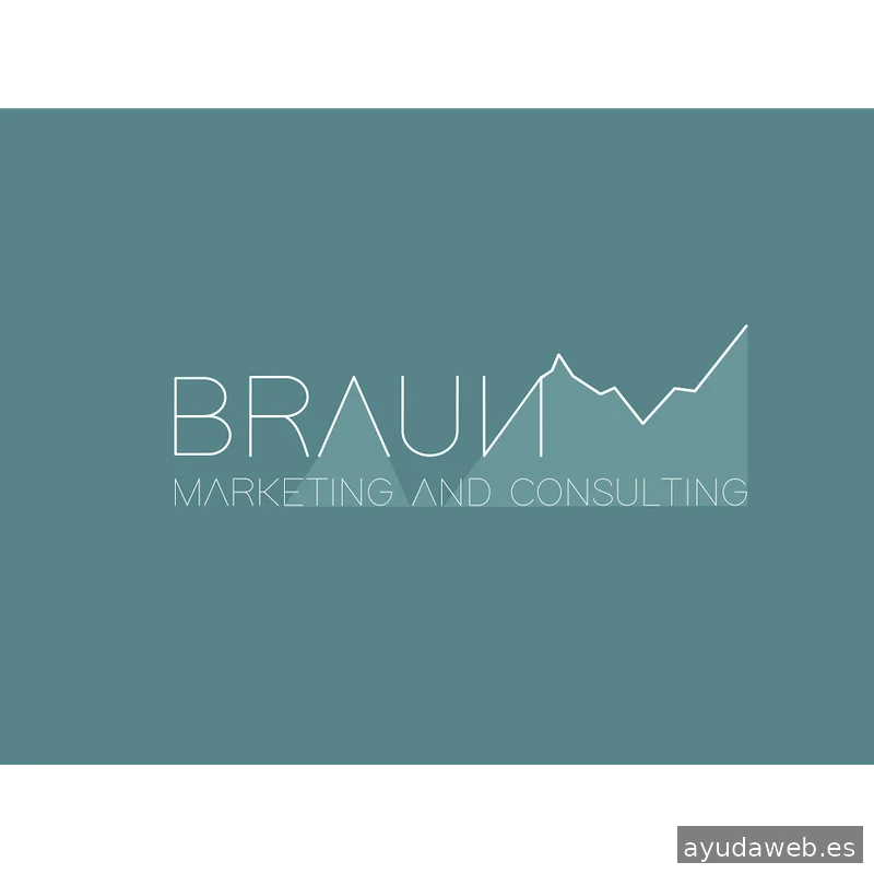 Braun Marketing & Consulting