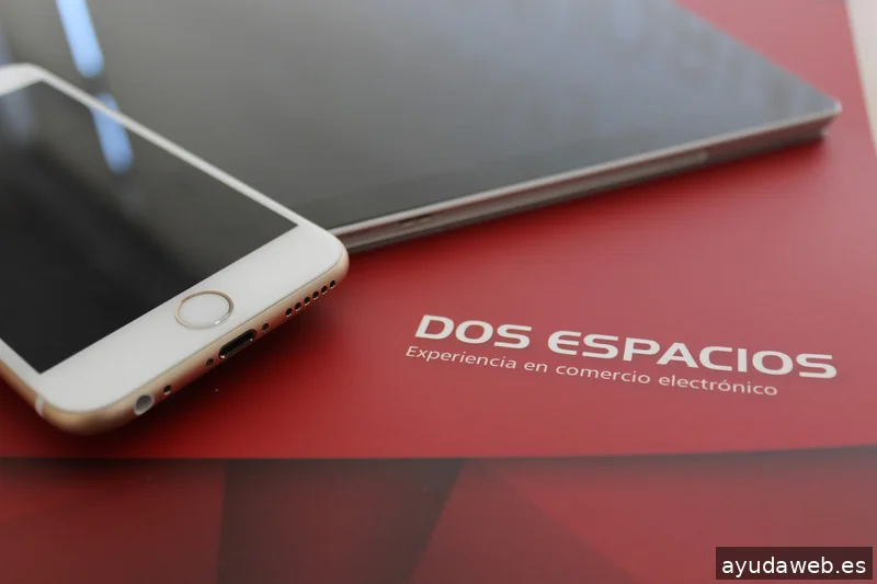 Dos Espacios Internet Consulting