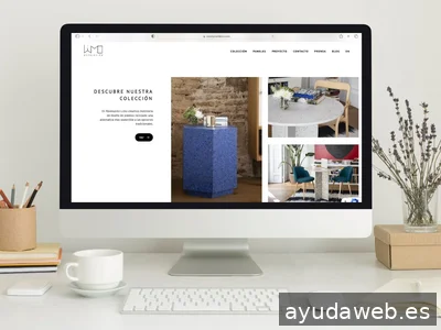 Somos Peces Voladores