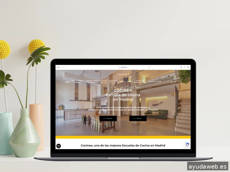 Somos Peces Voladores