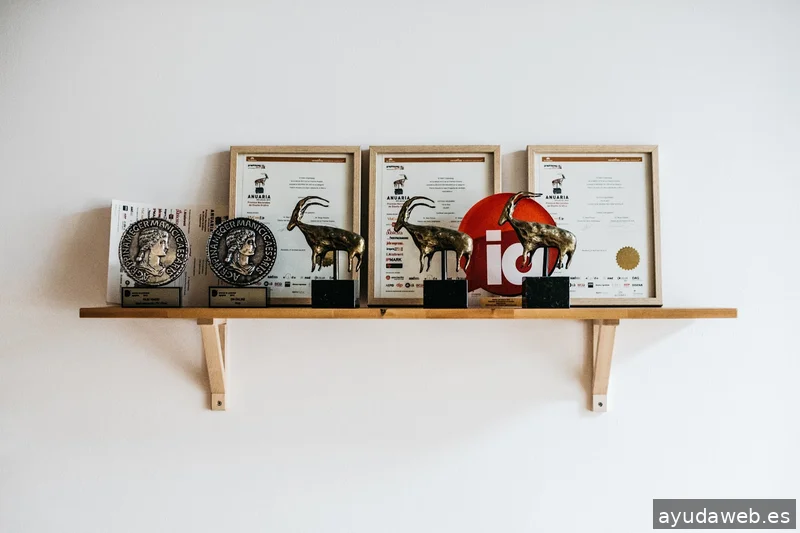 Squembri, Branding & Diseño