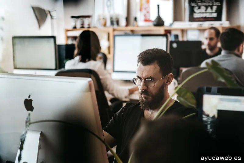 Squembri, Branding & Diseño