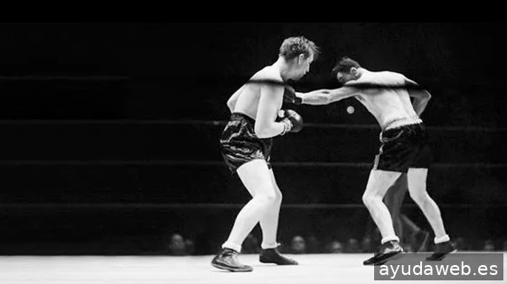 ALTEREGO comunicacion y diseño