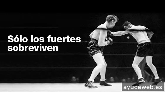 ALTEREGO comunicacion y diseño