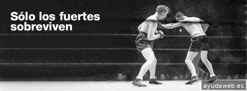 ALTEREGO comunicacion y diseño