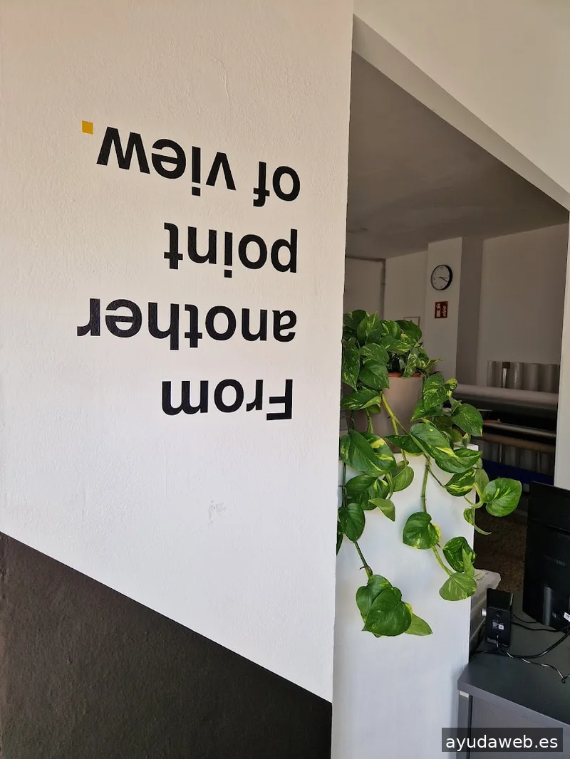 CONTRAST Imagen y Rotulación