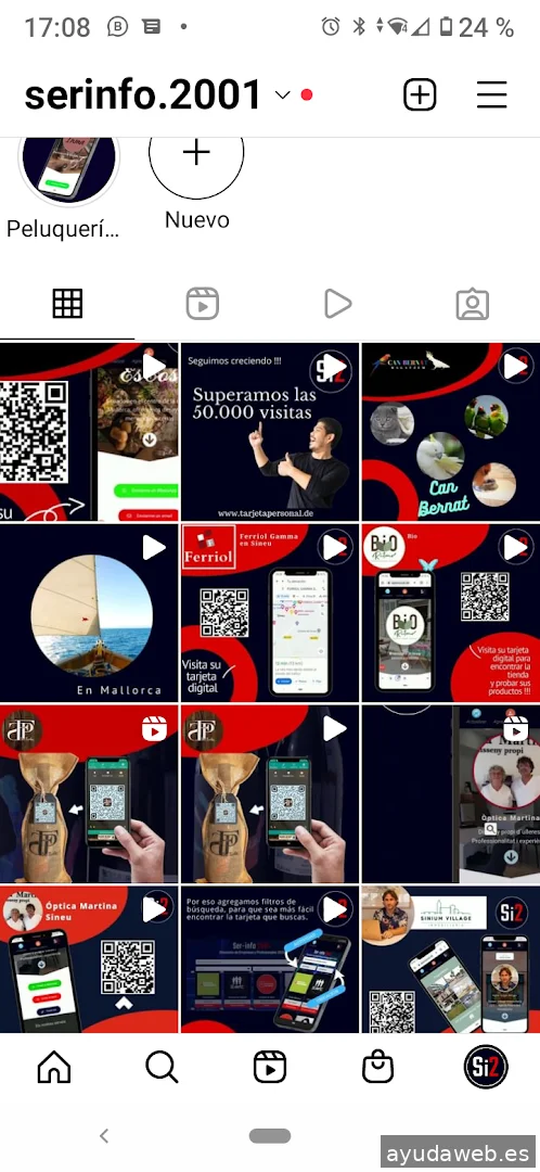 Ser-Info2001 - informática - Marketing Digital - Diseño Web