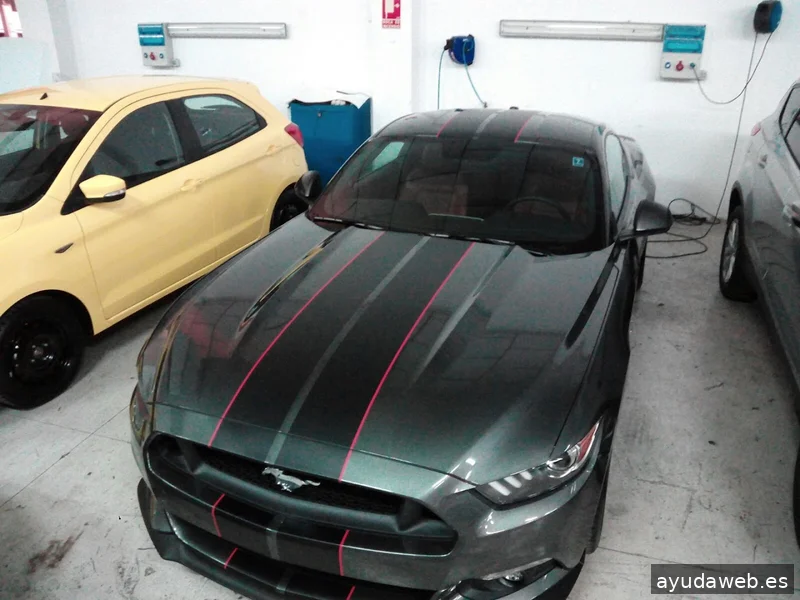 Rótulos Vinilo Andrés Málaga