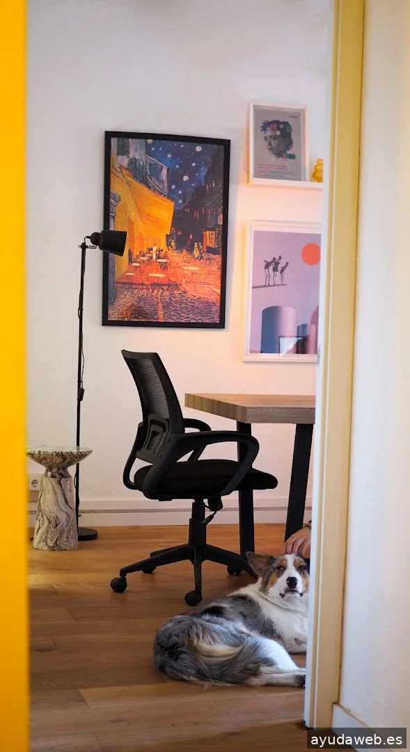 Agencia Jaimito: branding especializado en b2b