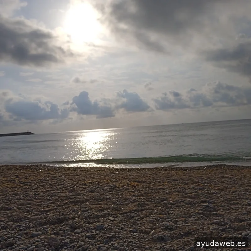 Diseño Web | SEO | SEM - Media Projects