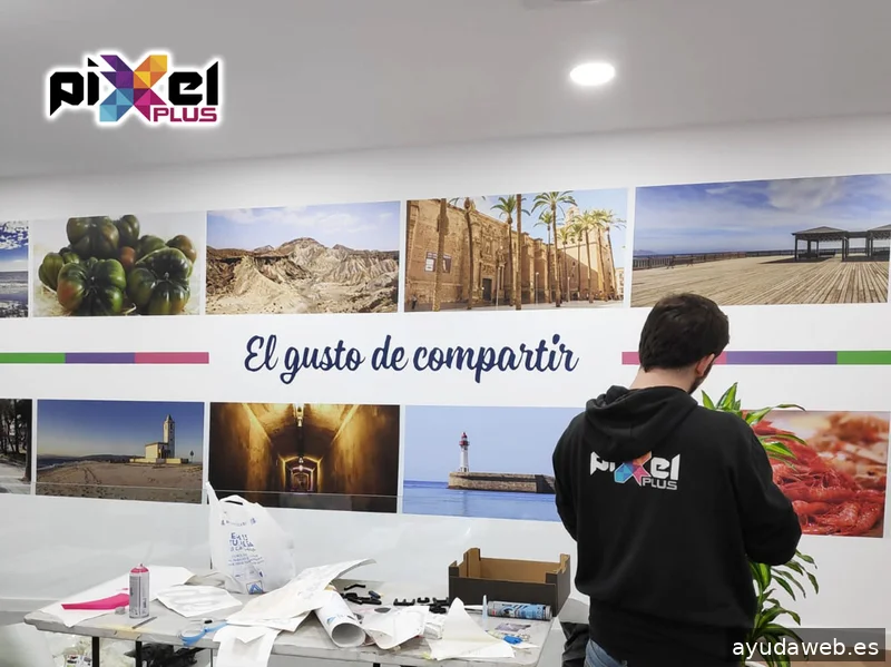 Pixel Plus, Estudio Gráfico