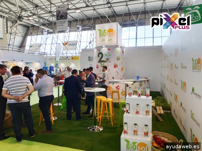 Pixel Plus, Estudio Gráfico