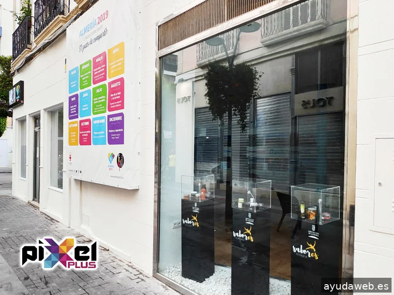 Pixel Plus, Estudio Gráfico