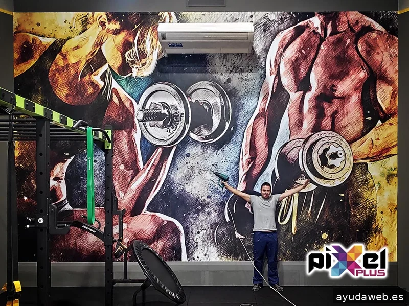 Pixel Plus, Estudio Gráfico