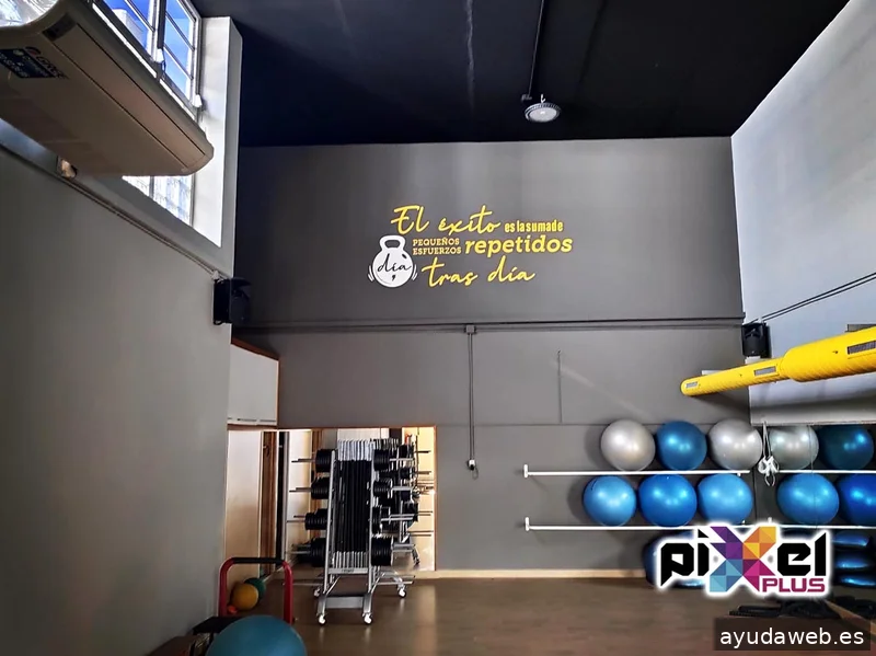 Pixel Plus, Estudio Gráfico