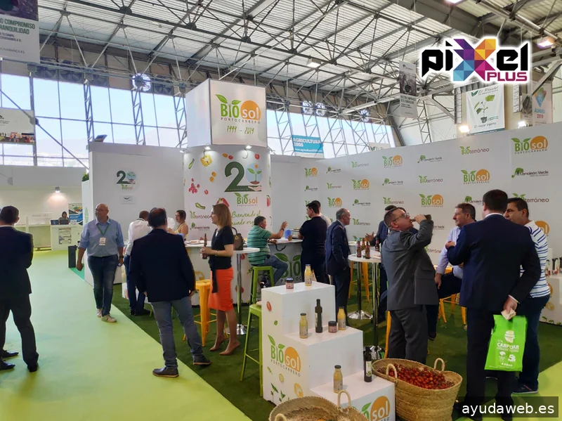 Pixel Plus, Estudio Gráfico