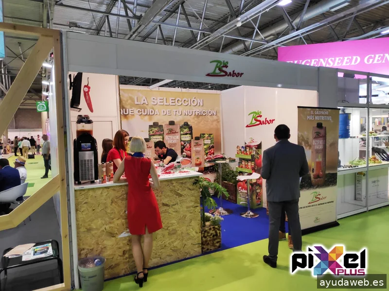 Pixel Plus, Estudio Gráfico