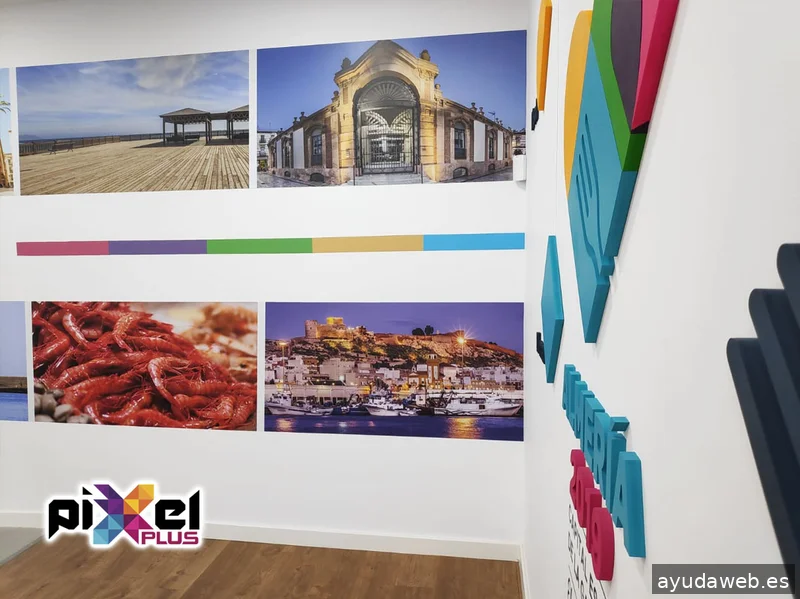 Pixel Plus, Estudio Gráfico