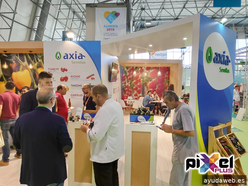 Pixel Plus, Estudio Gráfico