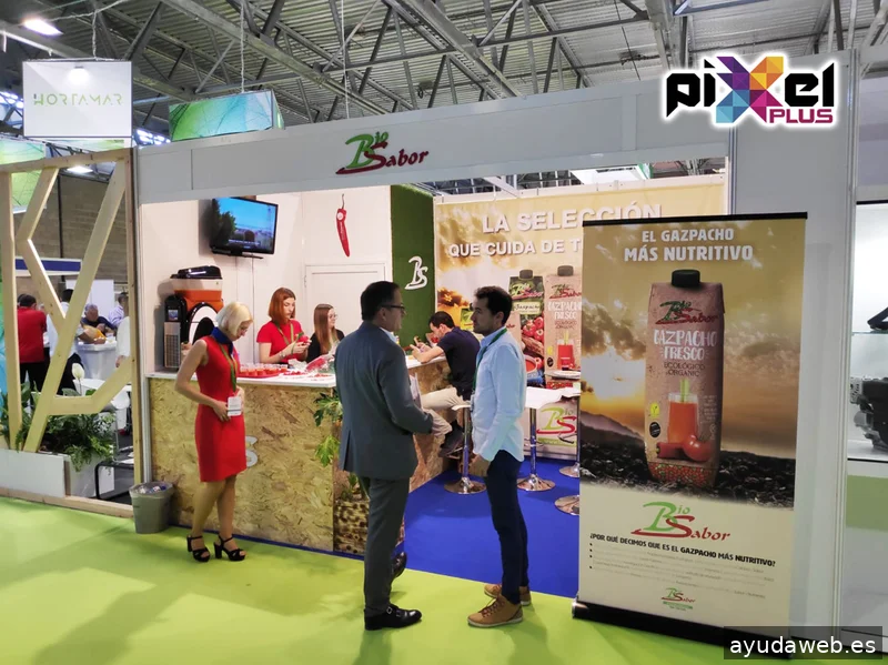 Pixel Plus, Estudio Gráfico