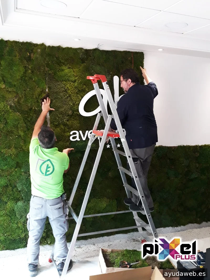 Pixel Plus, Estudio Gráfico