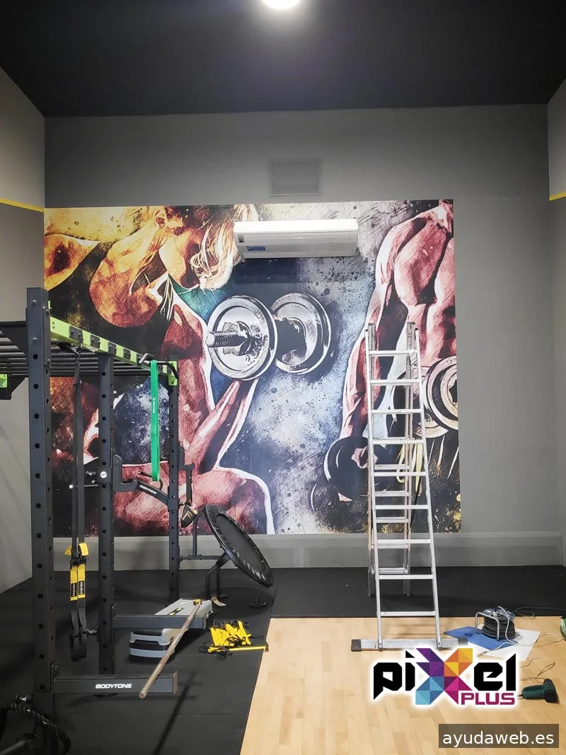 Pixel Plus, Estudio Gráfico