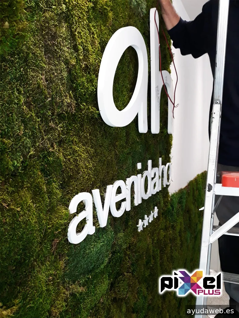 Pixel Plus, Estudio Gráfico