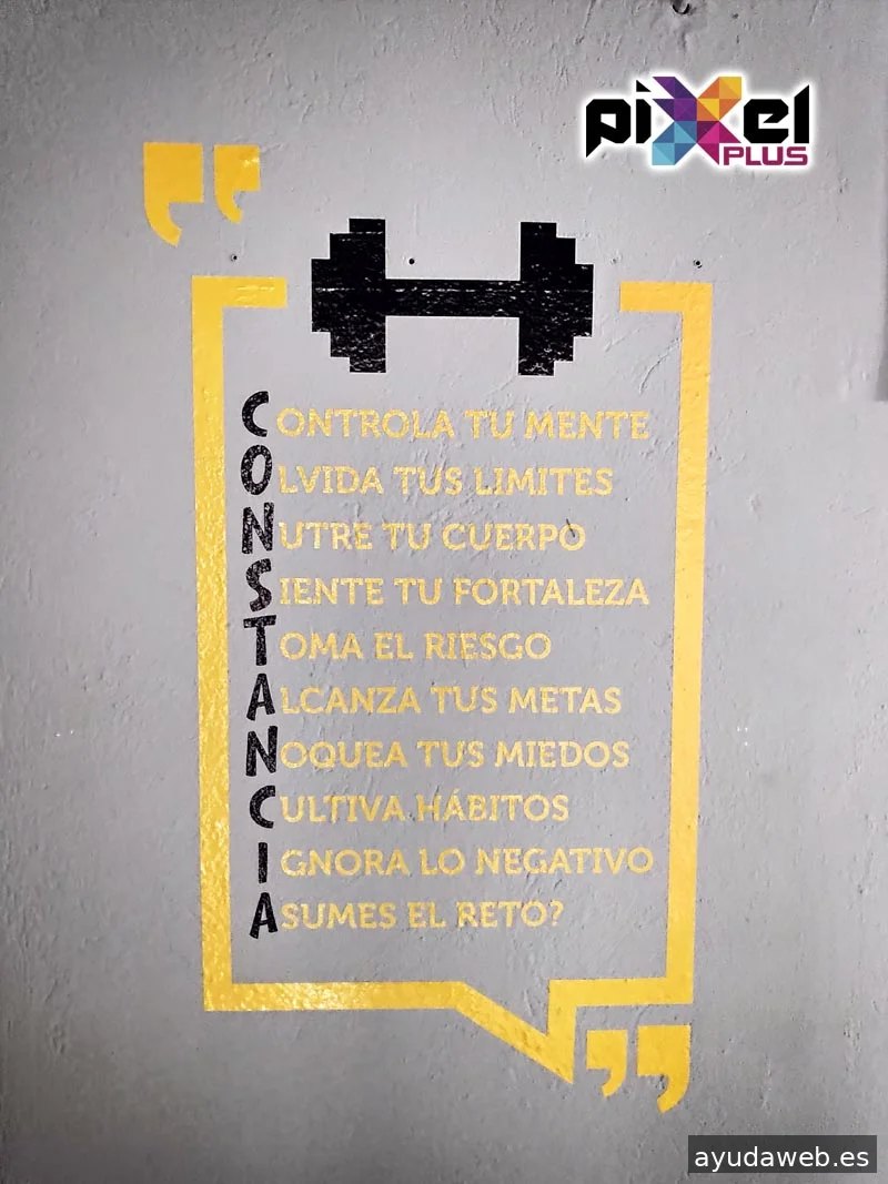 Pixel Plus, Estudio Gráfico