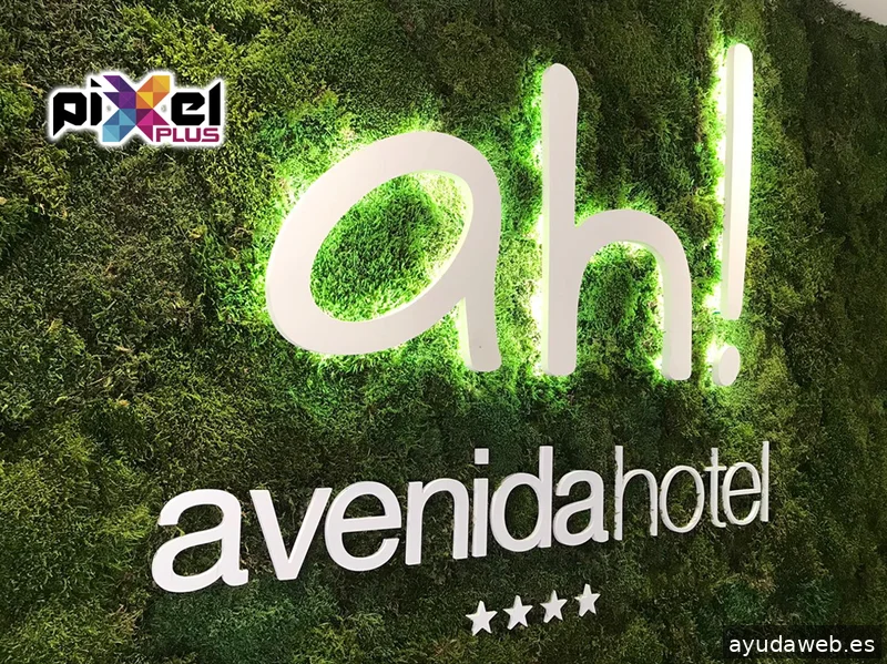 Pixel Plus, Estudio Gráfico