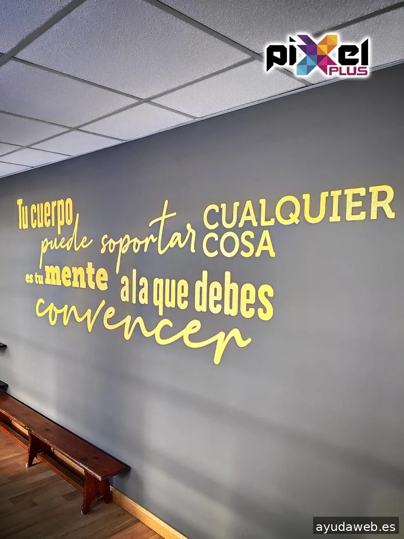 Pixel Plus, Estudio Gráfico