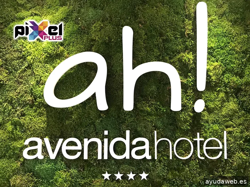 Pixel Plus, Estudio Gráfico