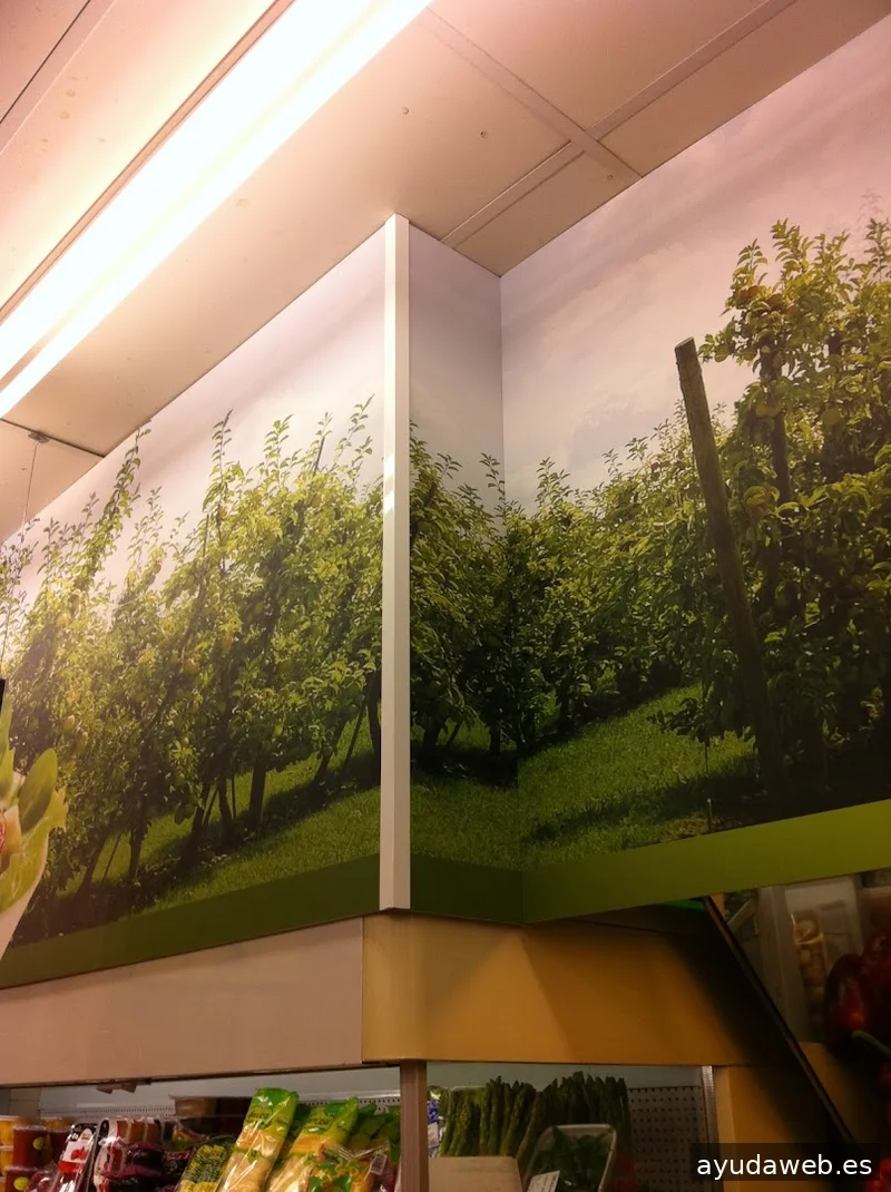 Camaleón Studio | Agencia de Comunicación