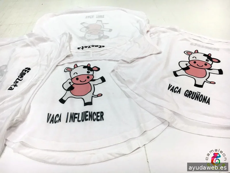 Camaleón Studio | Agencia de Comunicación