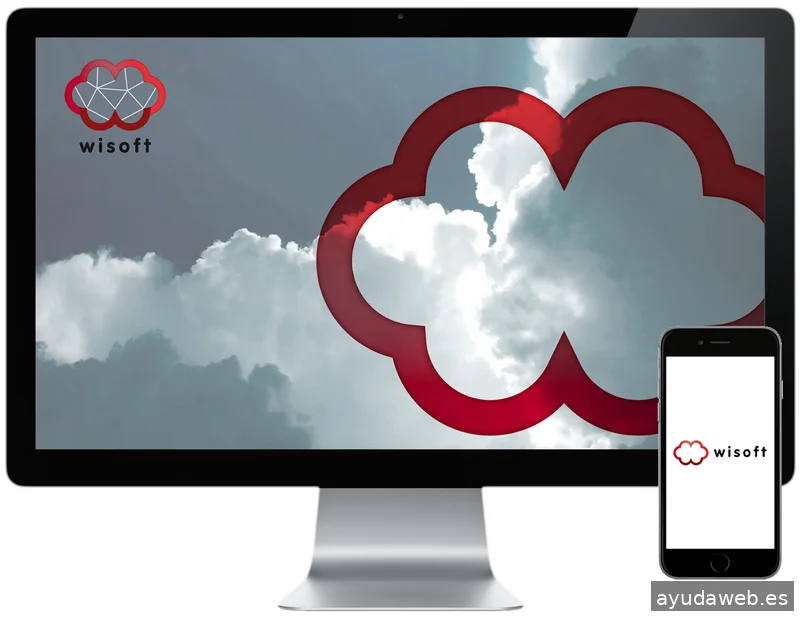 Wisoft Desarrollo Web SL