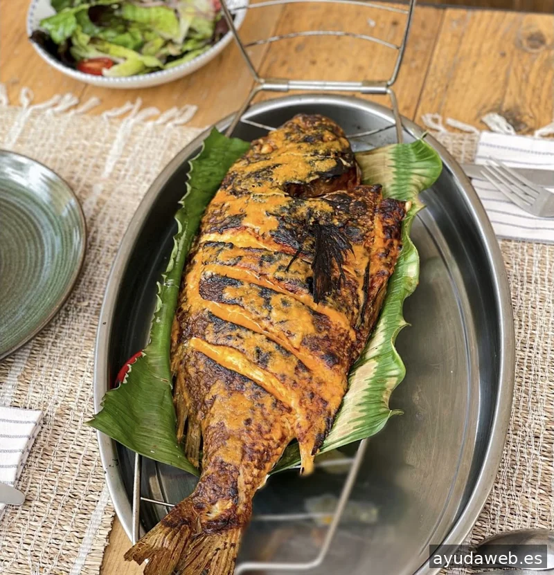 Agencia de Marketing Mallorca