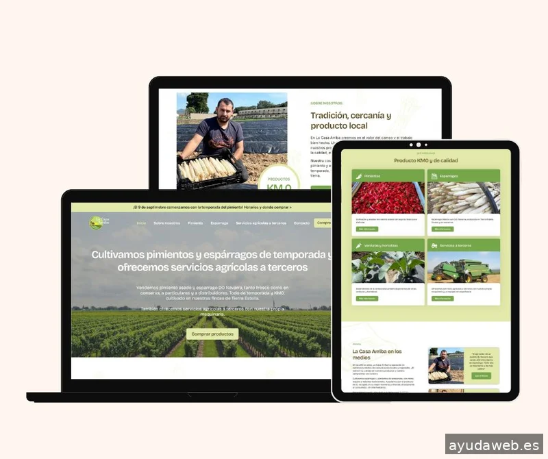 Areki Digital | Diseño web Pamplona