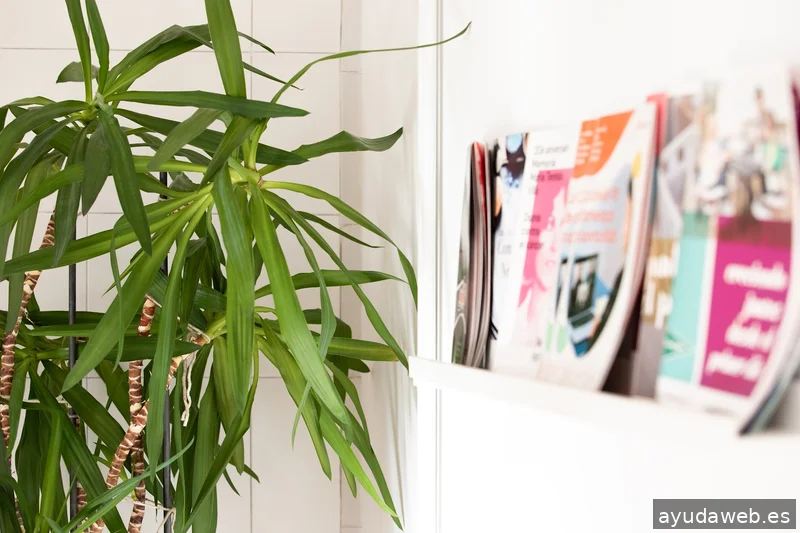 La Rita Comunicació