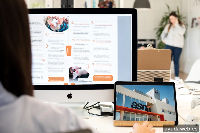 La Rita Comunicació