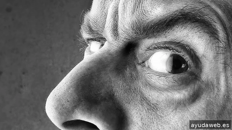 Trama Agencia de Publicidad Valladolid|Madrid