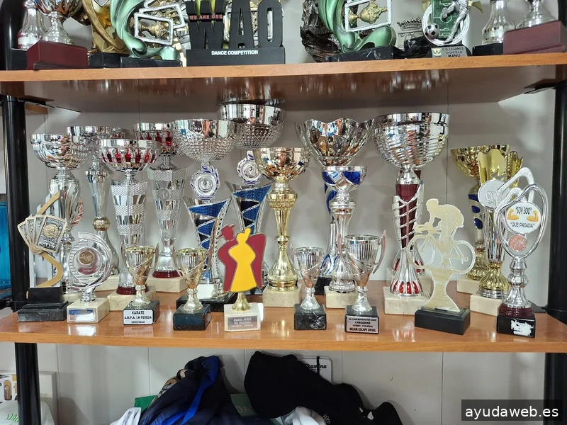 Las Chapas Trofeos y Publicidad