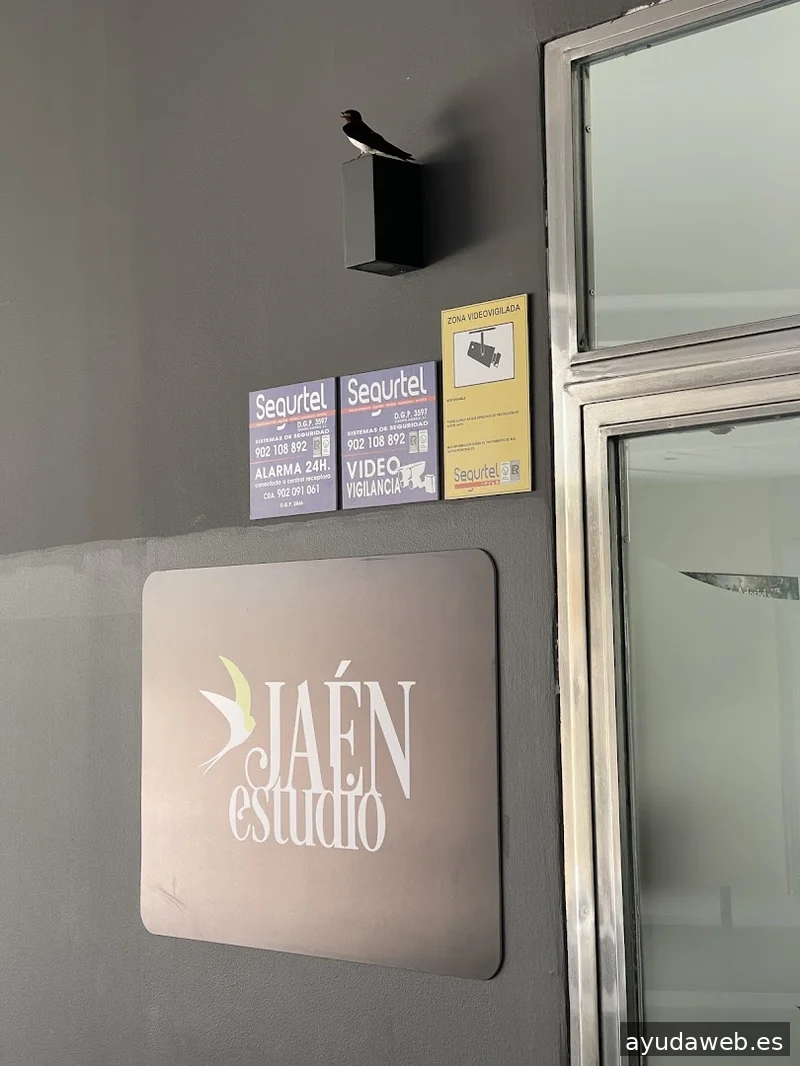 Jaén Estudio
