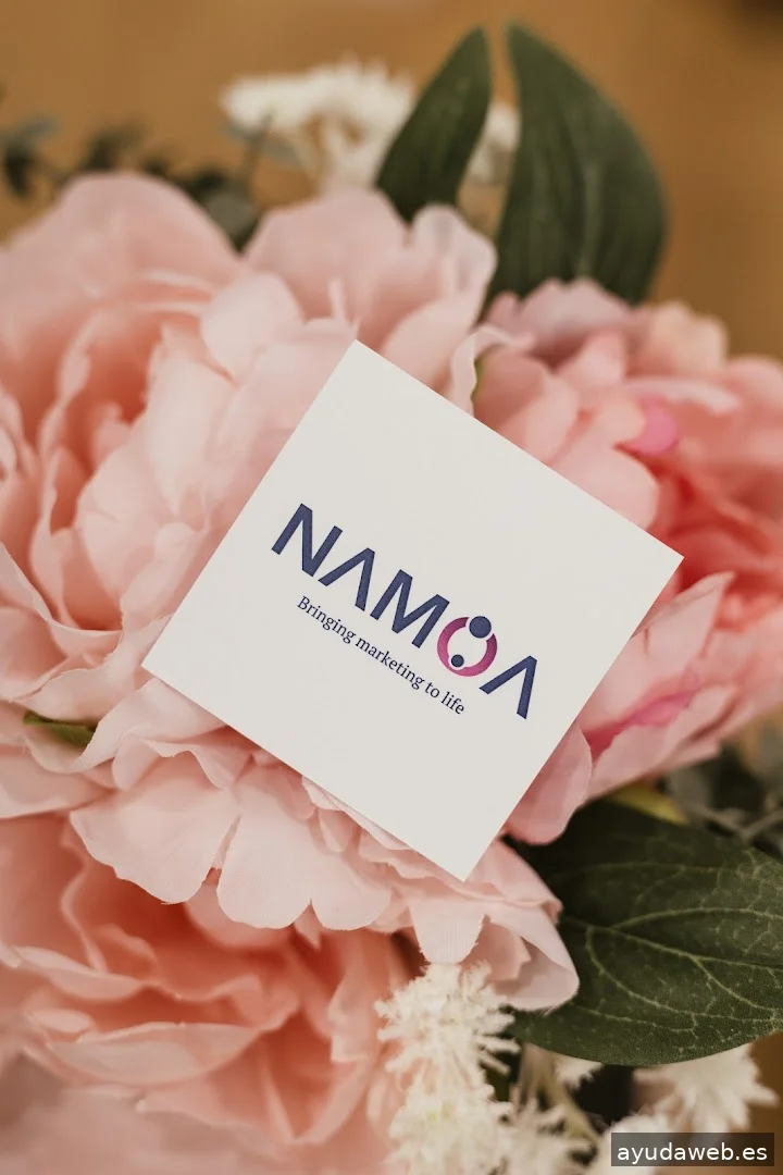 Namoa Marketing - Agencia de marketing digital en Oviedo