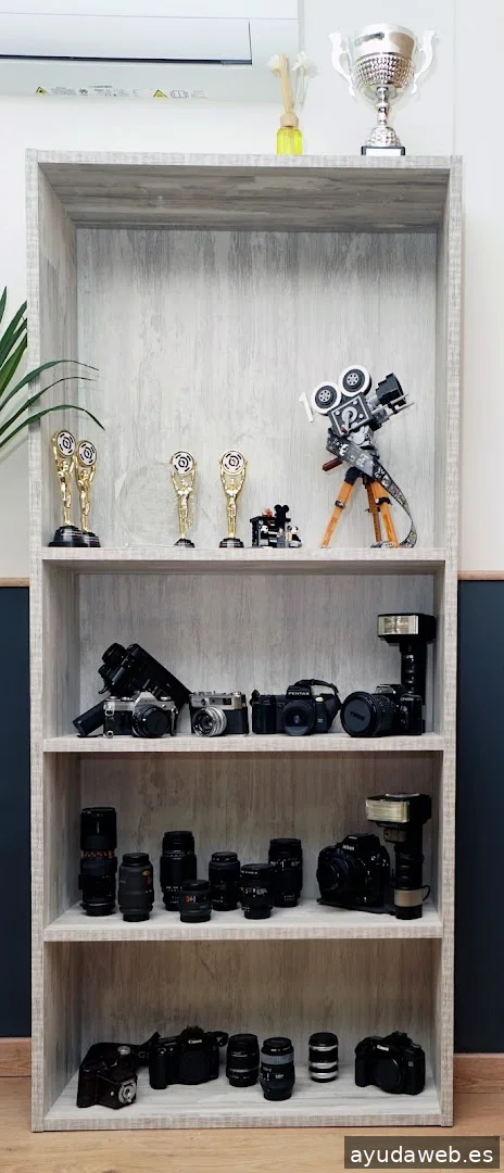 Producciones Anafilaxis