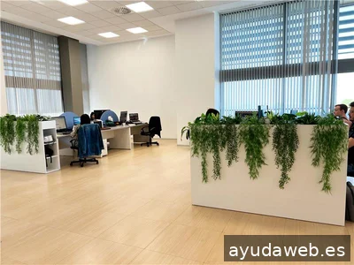 Difuso | Agencia SEO Valencia